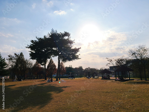 공원의 풍경