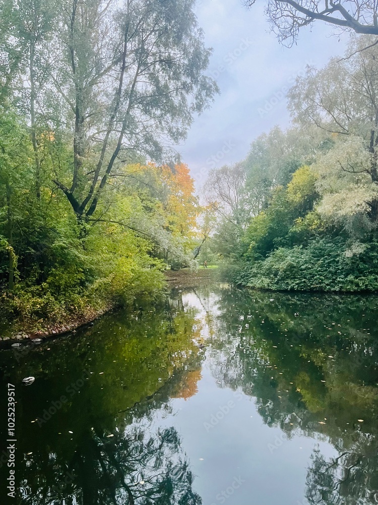 autumn trees reflection on the pond surface, calm water surface, mirror, cloudy sky autumn trees reflection on the pond surface, calm water surface, mirror, cloudy sky