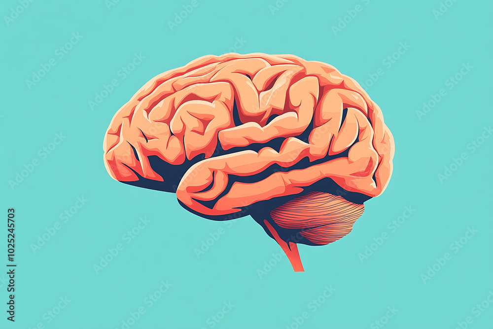 a human brain, showcasing its complex structure with vibrant colors to highlight different regions a human brain, showcasing its complex structure with vibrant colors to highlight different regions