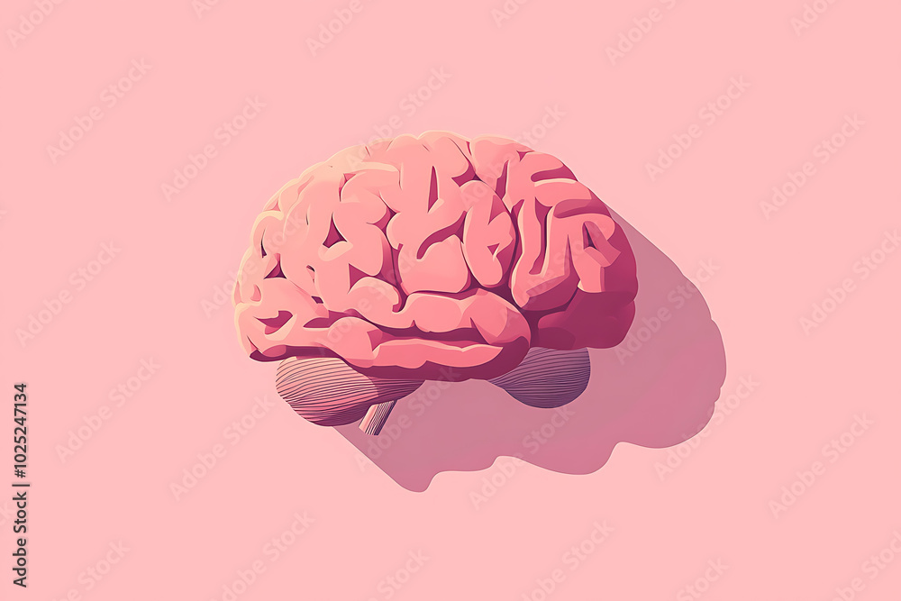 a human brain, showcasing its complex structure with vibrant colors to highlight different regions a human brain, showcasing its complex structure with vibrant colors to highlight different regions