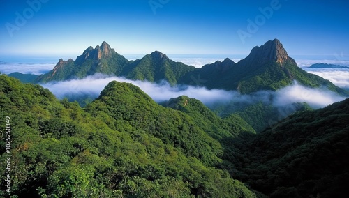 Magnificent Scenery of Mountains and Clouds in Laoshan, China, Featuring Towering Peaks Shrouded by White Mist and Dense Fog photo