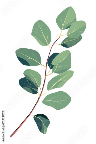 PNG A eucalyptus leaf plant tree produce.