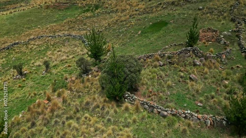 Coporaque's trees video cinematic green landscape photo