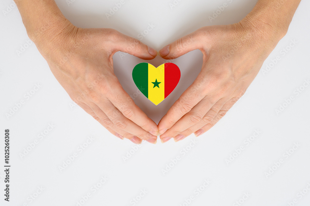The national flag of Senegal in female hands.
