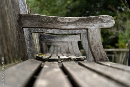 Wooden benches in a park