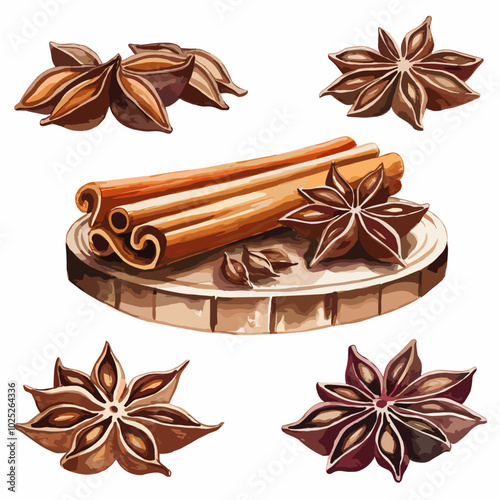 Watercolor Illustration of Cinnamon and Star Anise Set