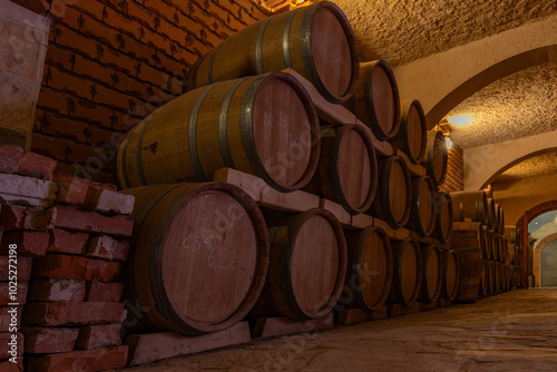 Wooden wine barrels in a vineyard, barrels with old wine arranged in a row photo