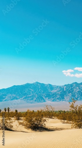 Vast desert landscape, golden sand dunes, clear blue sky, distant mountains on the horizon, national geography style, photo