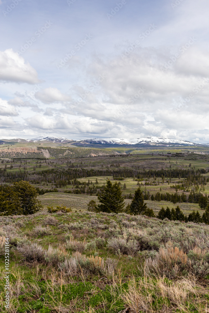 Obraz premium Breathtaking Landscape of Yellowstone National Park in Wyoming, USA with Majestic Mountain Views and Expansive Horizon