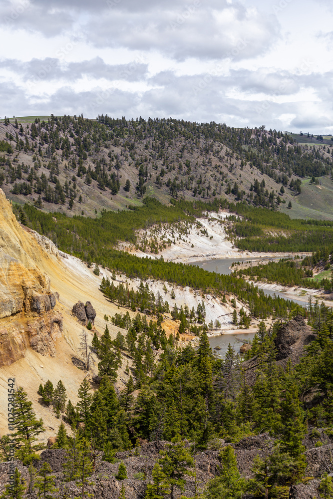 Scenic View of Yellowstone National Park's Rugged Landscape in Wyoming, USA With Pine Trees and Rolling Hills Scenic View of Yellowstone National Park's Rugged Landscape in Wyoming, USA With Pine Trees and Rolling Hills