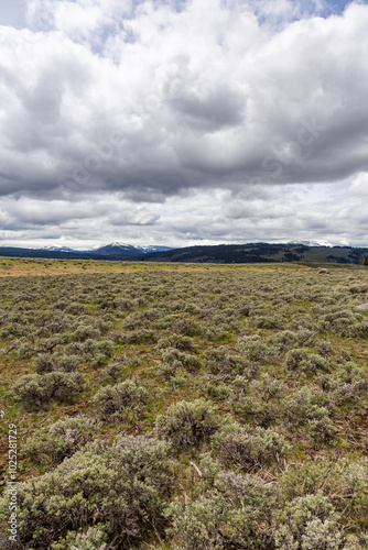 Expansive Sagebrush Landscape Under Dramatic Clouds in Yellowstone National Park, Wyoming, USA