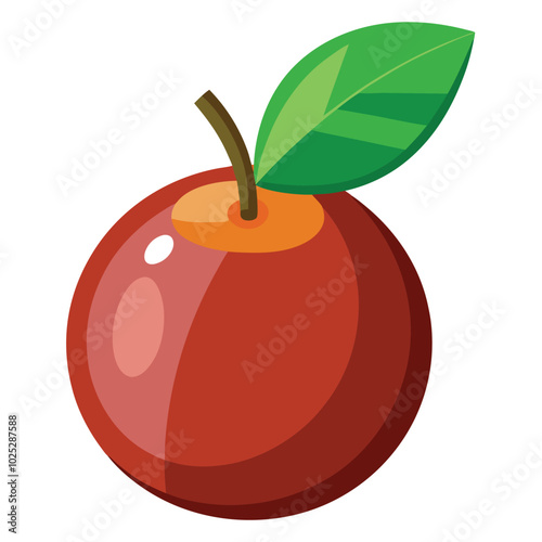 vector illustration Camu-camu isolated on white background.