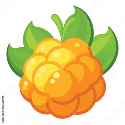 Cloudberry with leaves isolated on a white background. Vector illustration