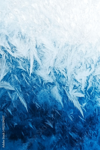 Wallpaper Mural Blue and White Background with Frost Patterns and Snowflakes Gradient for Design Torontodigital.ca