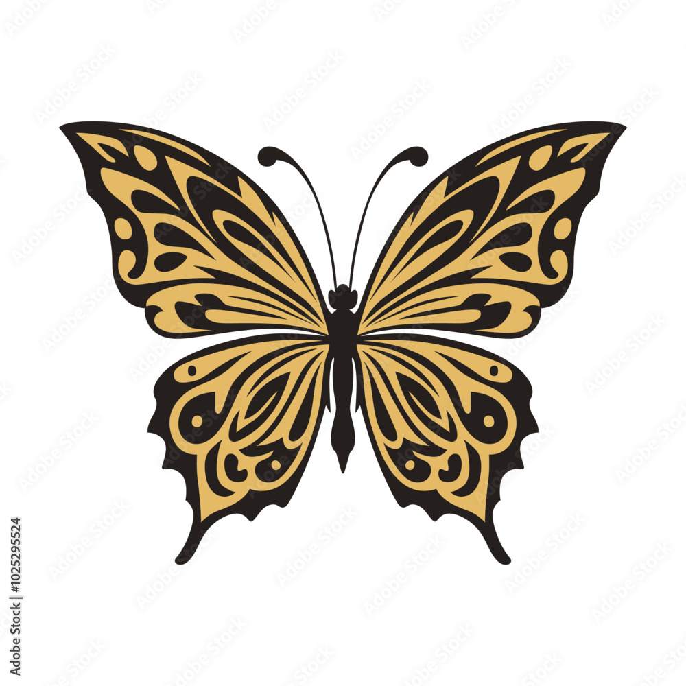Butterfly with intricate black and gold patterns Butterfly with intricate black and gold patterns