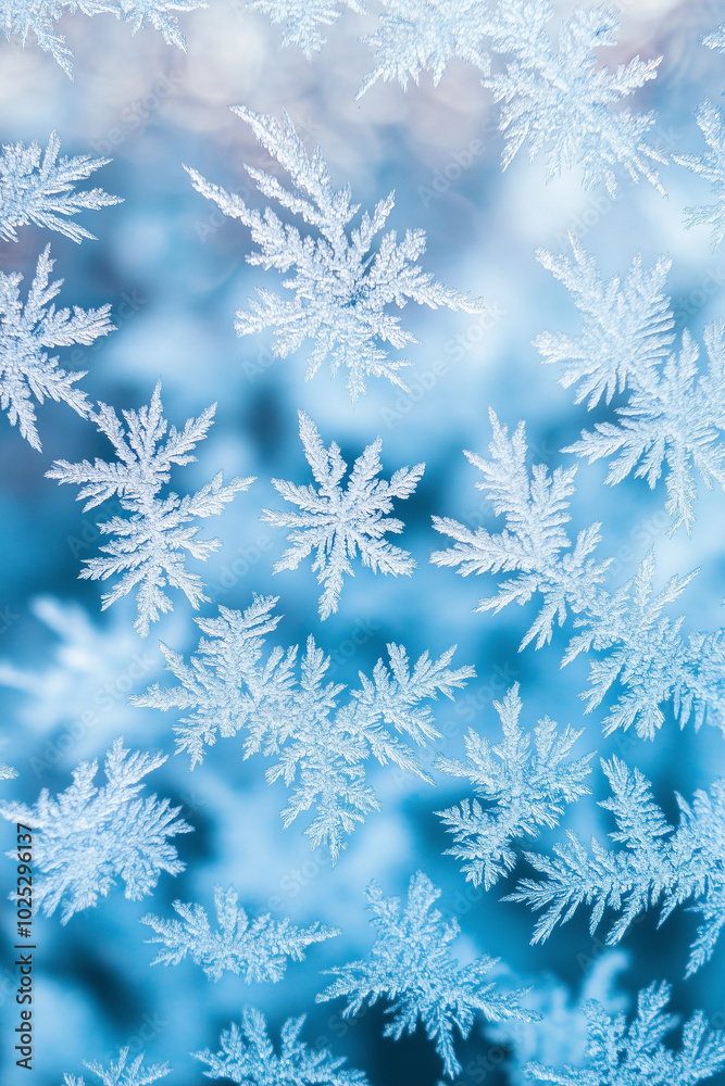 Blue and White Background with Frost Patterns and Snowflakes Gradient for Design Blue and White Background with Frost Patterns and Snowflakes Gradient for Design