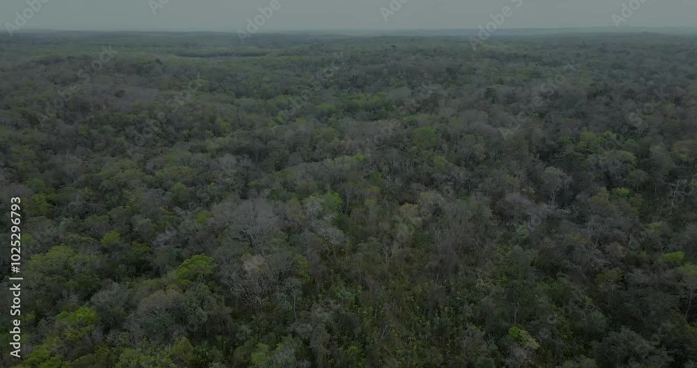 Vuelo por la Selva Maya de la Península de Yucatán. Campeche. Vuelo por la Selva Maya de la Península de Yucatán. Campeche.