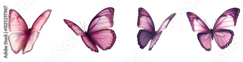 The butterfly is colored with natural and watercolor colors, isolated on a white background