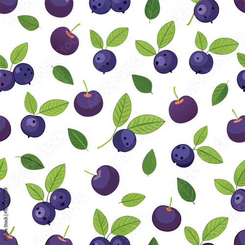 Maqui berry. fresh healthy berries. superfood vector illustration.