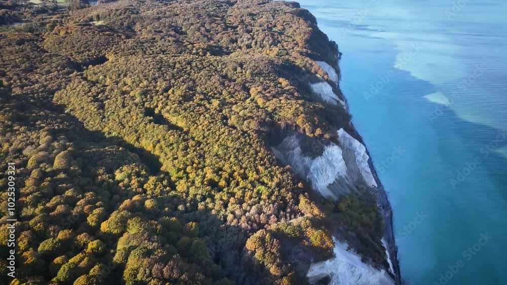 Møns Klint and its Landscape with dense beech forests that fringe the cliffs. Tilt down of Møns Klint. Stunning white chalk cliffs of Møn island. 