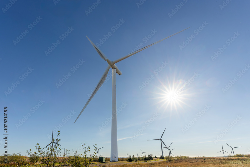 Wind farm with sunburst rays above wind turbines in distance Wind farm with sunburst rays above wind turbines in distance