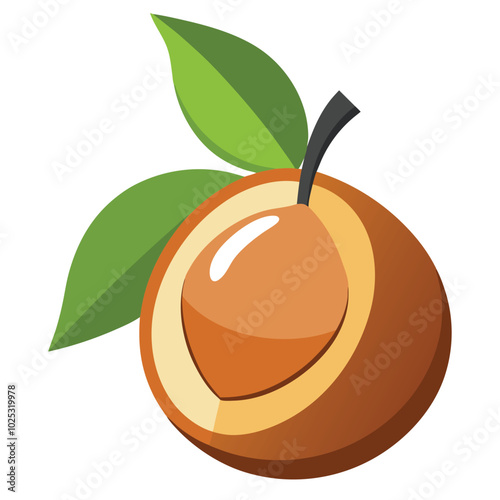 Vector illustration, sapodilla fruit with green leaves, isolated on a white background