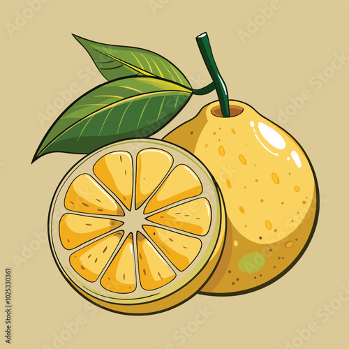 Simple yuzu vector illustration white background