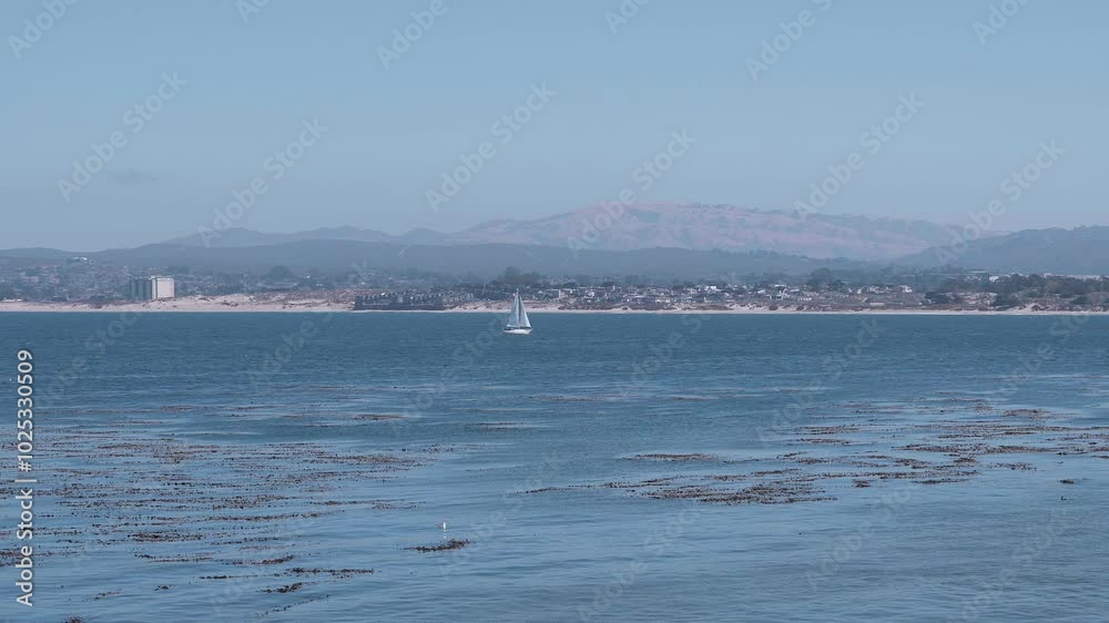 sailboat in Monterey Bay, California sailboat in Monterey Bay, California