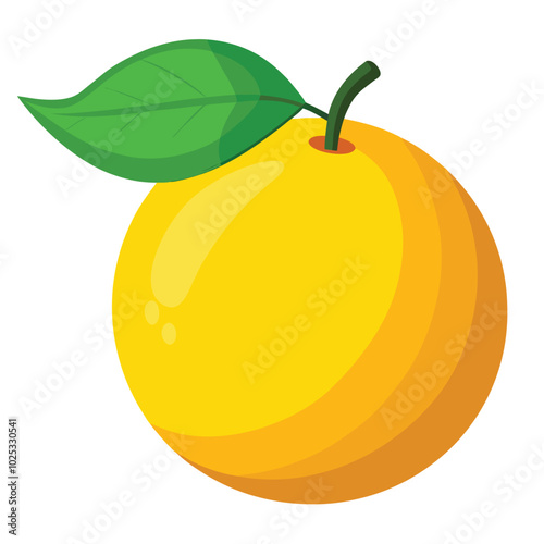 Simple yuzu vector illustration white background