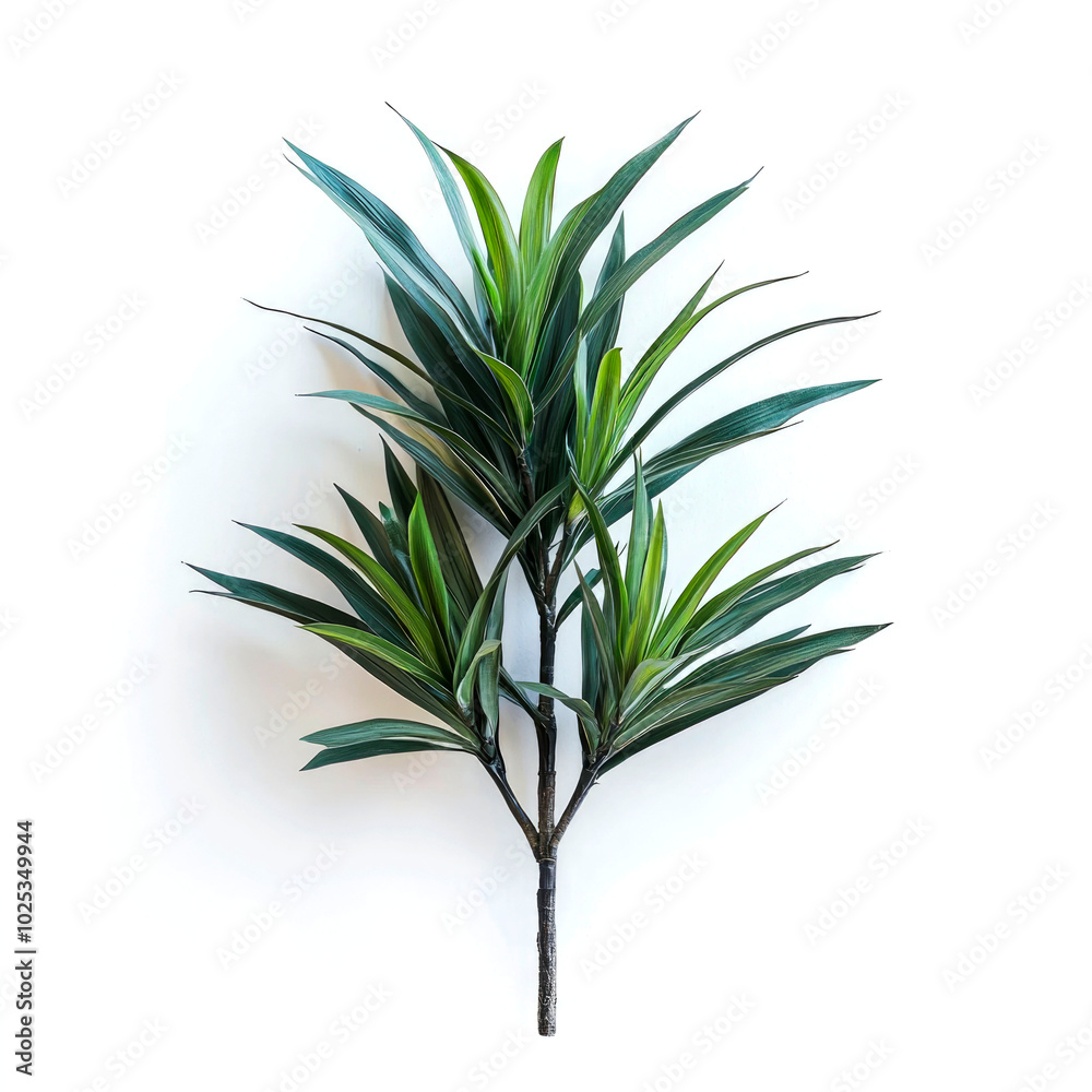 Fototapeta premium A single stem of artificial green leafy plant isolated on white background.