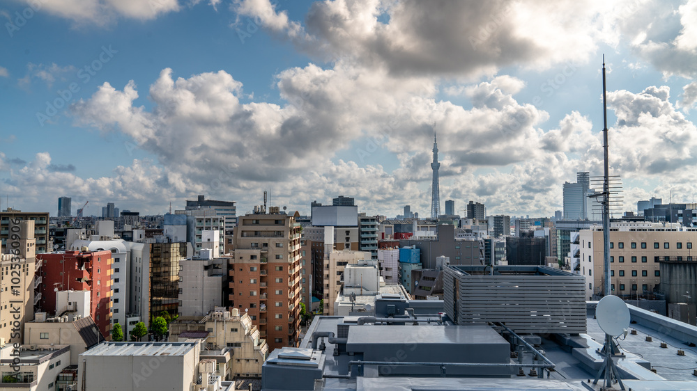 Obraz premium Tokyo Sky Tree in the Morning