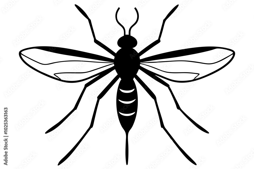 Mosquito silhouette, Bloodsucking icon black symbol vector, Close up mosquito silhouette
Mosquito silhouette, Bloodsucking icon black symbol vector, Close up mosquito silhouette