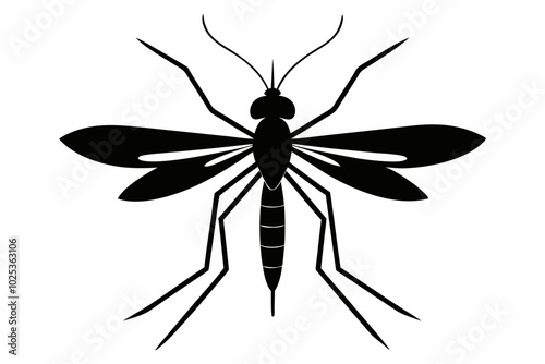 Mosquito silhouette, Bloodsucking icon black symbol vector, Close up mosquito silhouette


