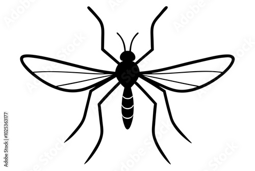 Mosquito silhouette, Bloodsucking icon black symbol vector, Close up mosquito silhouette


