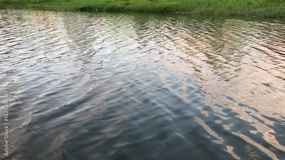 The calm lake water is blown by the gentle breeze on a summer holiday in the afternoon The calm lake water is blown by the gentle breeze on a summer holiday in the afternoon