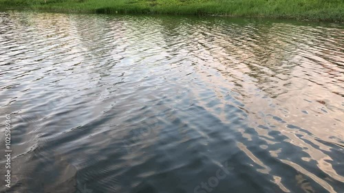 The calm lake water is blown by the gentle breeze on a summer holiday in the afternoon