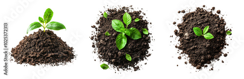 Fresh Soil with Plant Sprouts Growing in Different Stages Isolated on Transparent Background