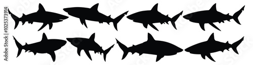 Shark silhouettes set, ocean pack of vector silhouette design, isolated background