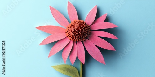 Cone flower (Rudbeckia fulgida var demii); Black Samson echinacea, Flowering cone shaped echinacea plant photo