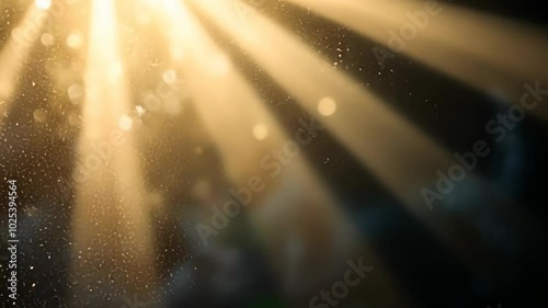 Golden light streams through a window, illuminating dust particles that dance in the air