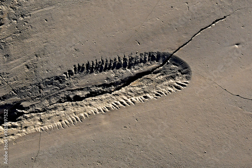 Photography Miniature example of headward erosion a concept studied in geomorphology