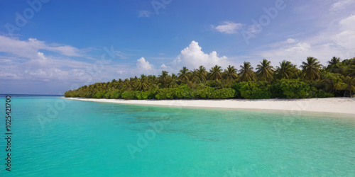 Tropical paradise beach with clear blue water and palm trees, exotic coastal landscape
