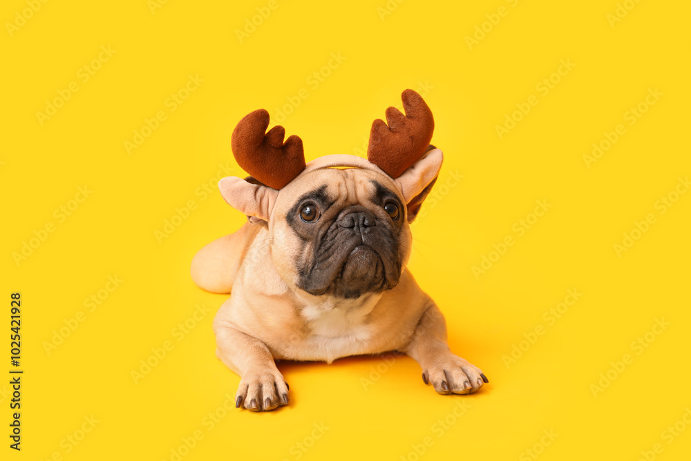 Fototapeta premium Cute pug dog in Christmas deer horns on yellow background
