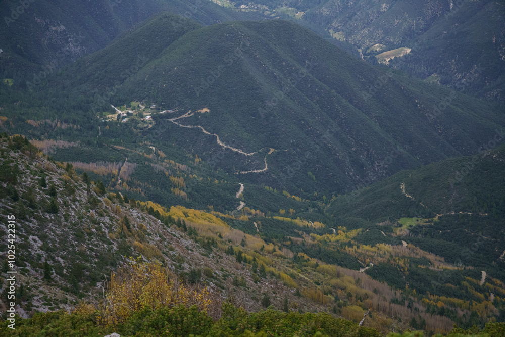 Fototapeta premium El camino