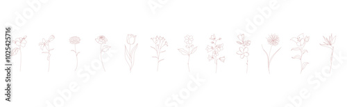 pink flower collection vector asset line art floral set hand drawn elements for wedding invitation card