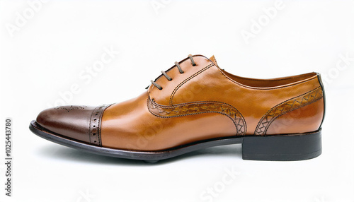 leather shoes isolated