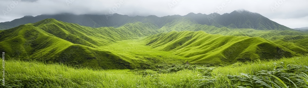 Dramatic green mountain peaks soar above tropical island paradise lush Dramatic green mountain peaks soar above tropical island paradise lush