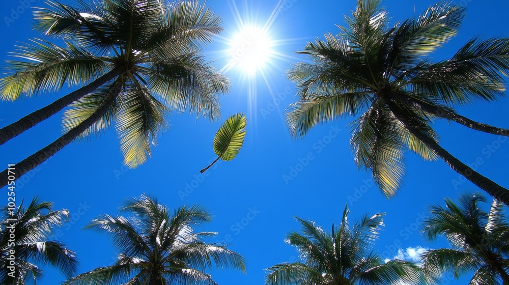 Palm Trees and Blue Sky. Palm Trees and Blue Sky.
