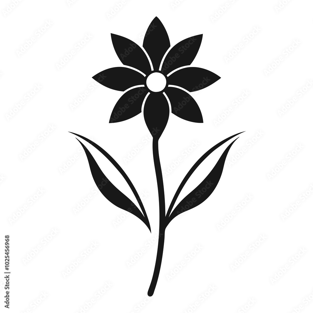 black and white flowers black and white flowers