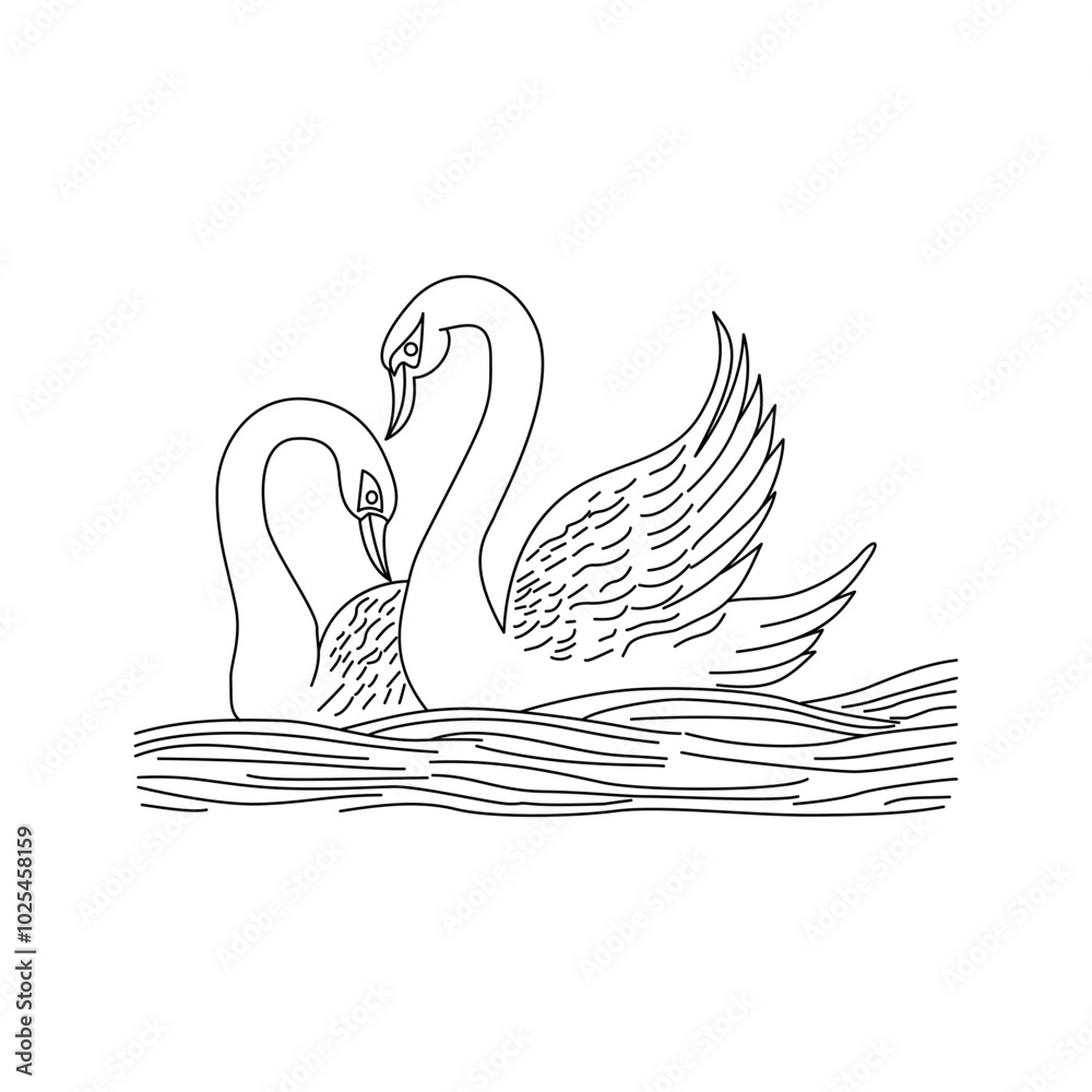 Fototapeta premium swan on the water